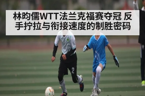 林昀儒WTT法兰克福赛夺冠 反手拧拉与衔接速度的制胜密码