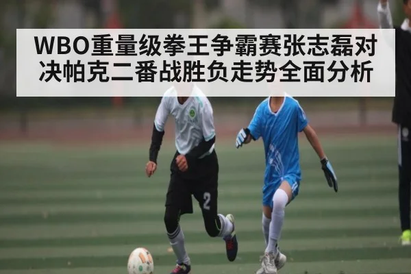 WBO重量级拳王争霸赛张志磊对决帕克二番战胜负走势全面分析